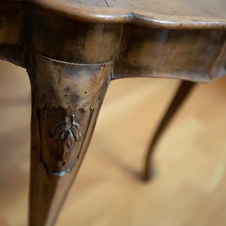 Loft Apartament Mirano